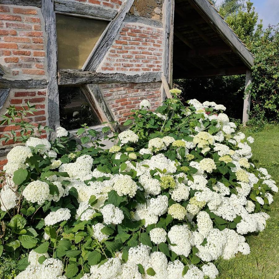 La Ferme Du Grand Faubourg Bed & Breakfast Pont-de-Vaux Luaran gambar
