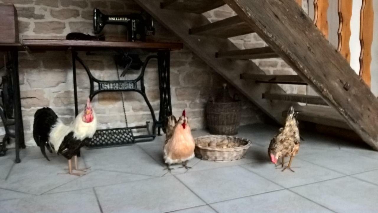 La Ferme Du Grand Faubourg Bed & Breakfast Pont-de-Vaux Luaran gambar